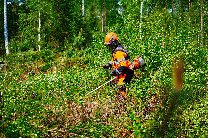 Metsähallitus — Finland